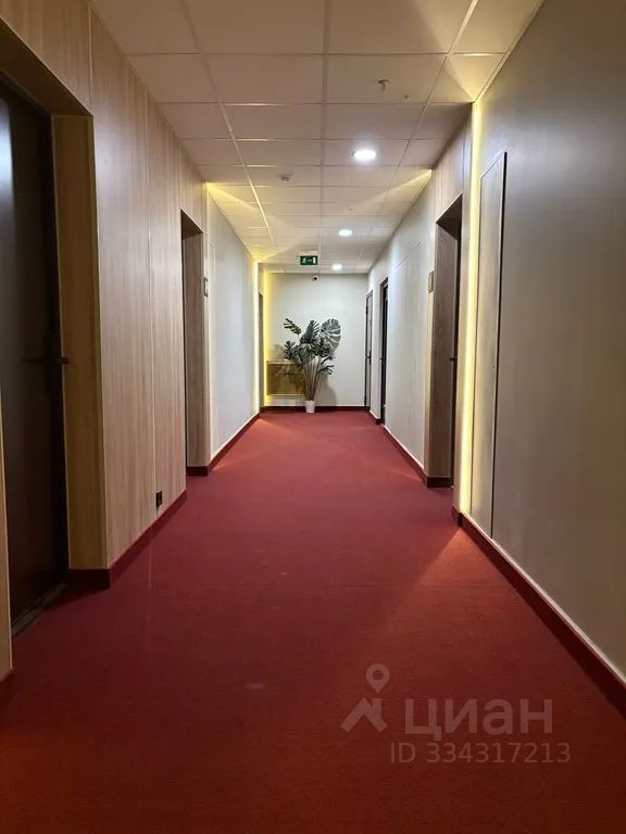 m. TsSKA: Apartment, studio