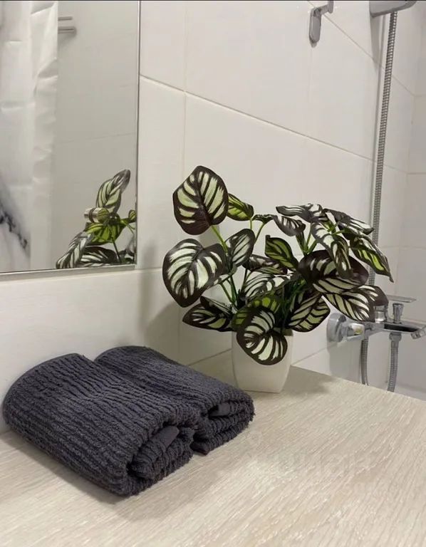 m. Pyatnitskoe shosse: Apartment, studio