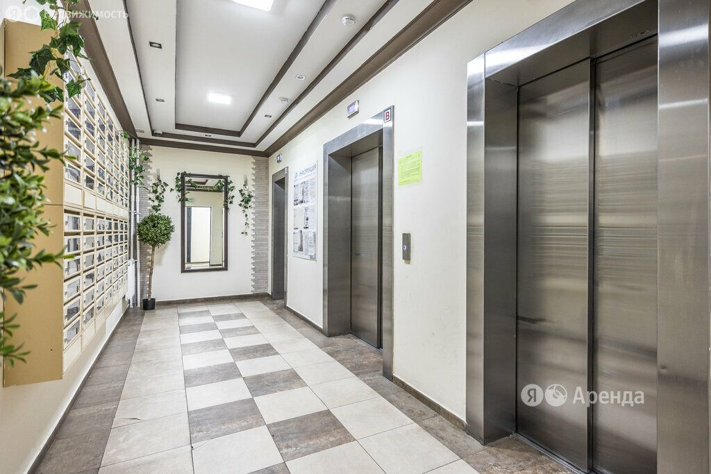 m. Olgino: Apartment, studio