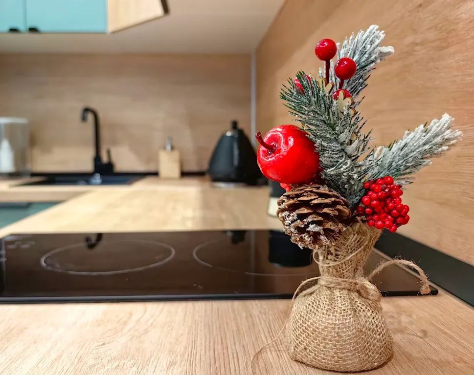 m. Nikolskoe: Apartment, 1-rooms
