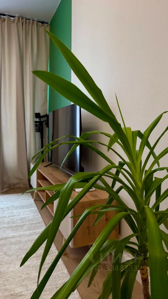 m. Volgogradsky prospekt: Apartment, 1-rooms