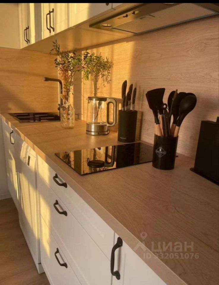 m. Vnukovo: Apartment, studio