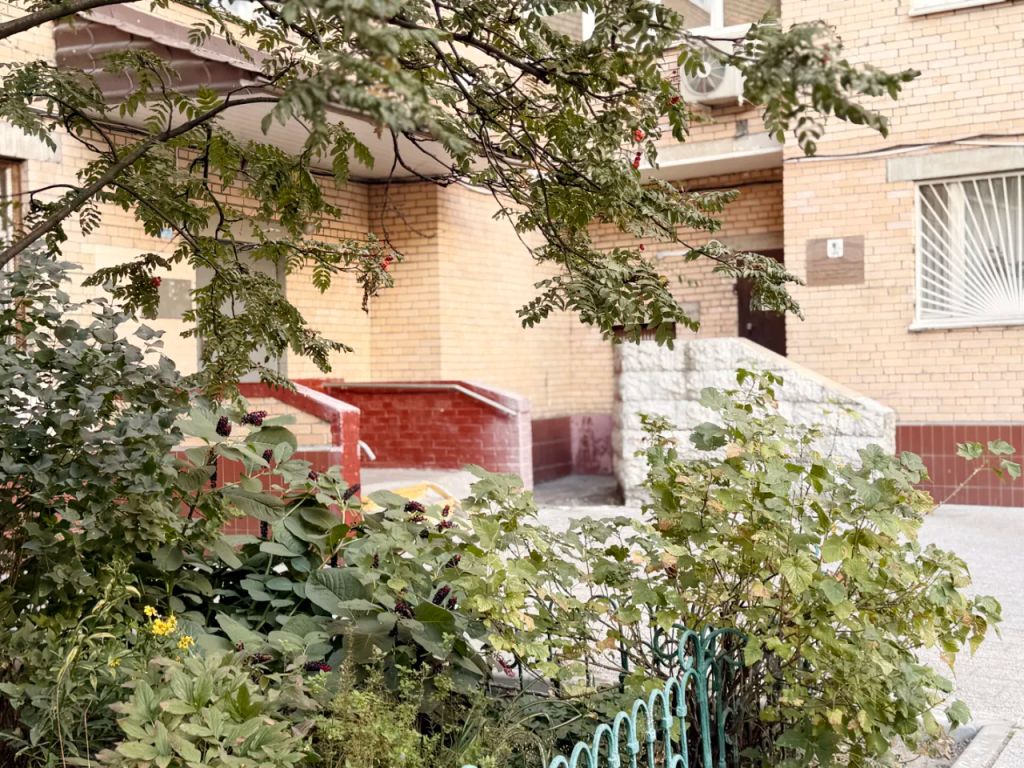 m. Sokolniki: Apartment, 1-rooms