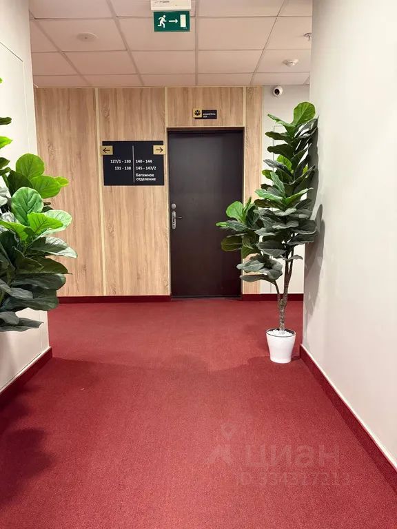 m. TsSKA: Apartment, studio