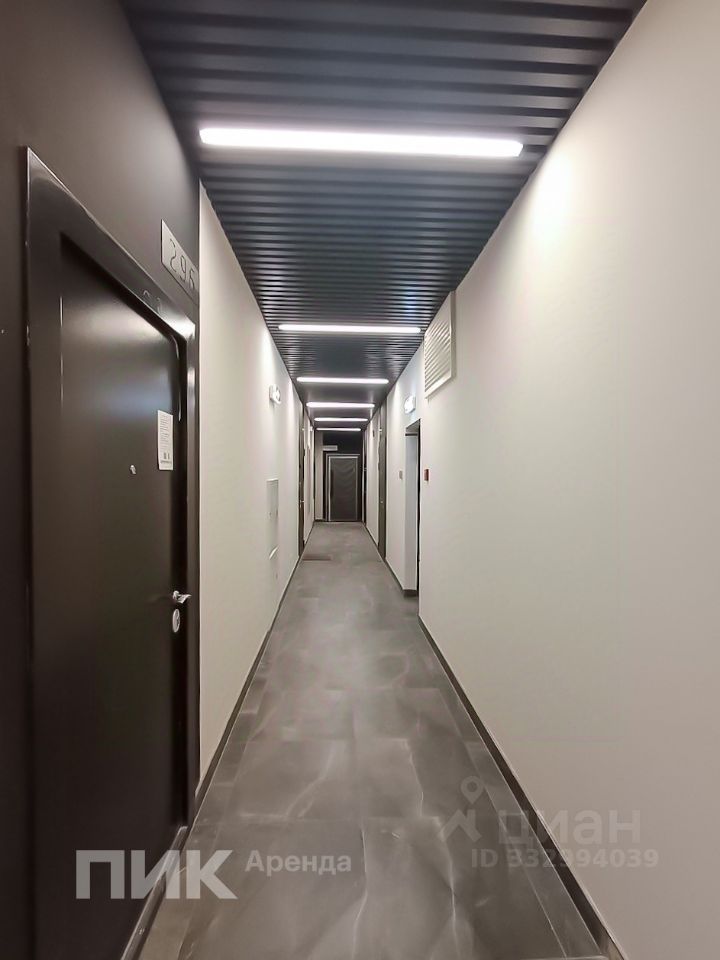m. Zorge: Apartment, studio