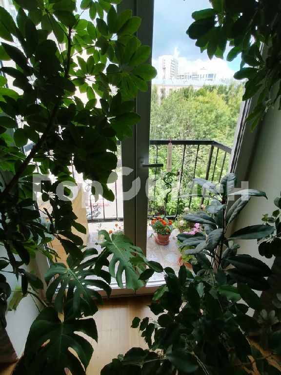 m. Oktyabrskoe pole: Apartment, 2-rooms