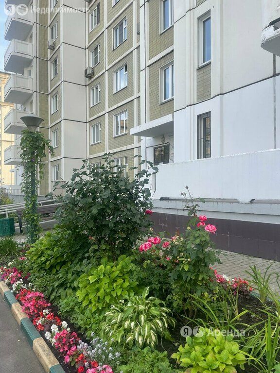 m. Verkhnie Kotly: Apartment, 2-rooms