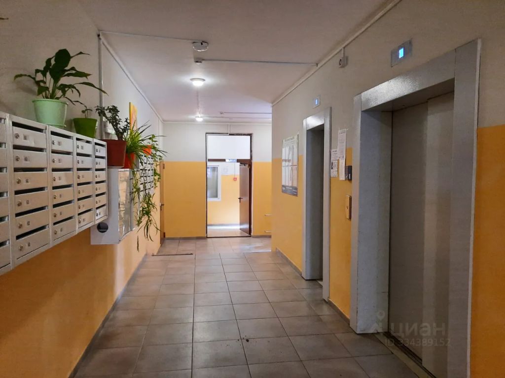 m. Domodedovskaya: Apartment, 2-rooms
