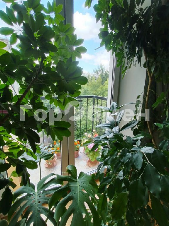 m. Oktyabrskoe pole: Apartment, 2-rooms