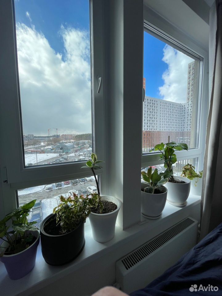 m. Mitino: Apartment, 1-rooms