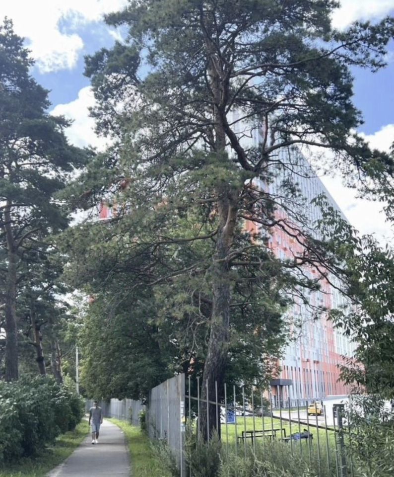 m. Nemchinovka: Apartment, studio