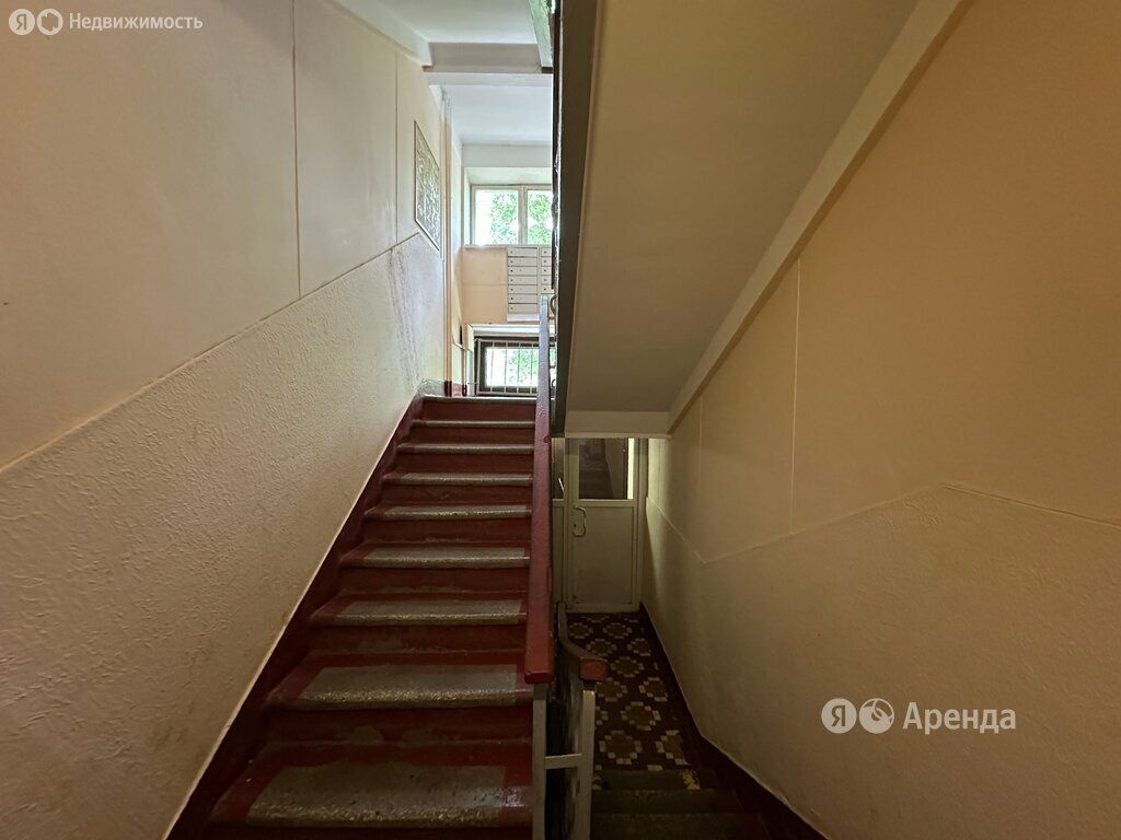 m. Lomonosovsky prospekt: Apartment, studio