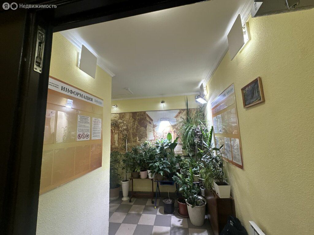 m. Nikolskoe: Apartment, 1-rooms
