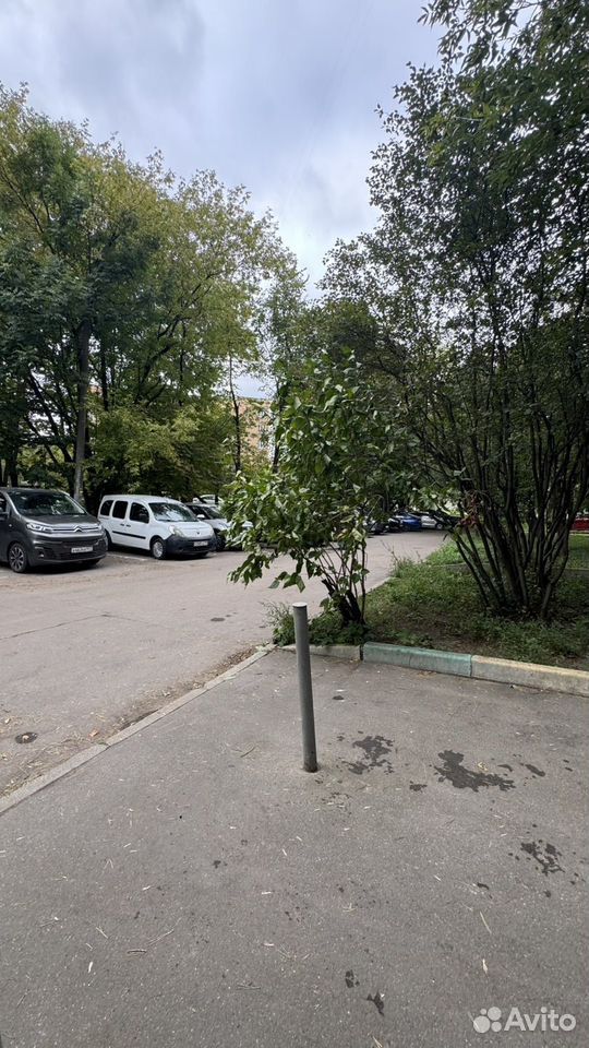 m. Lomonosovsky prospekt: Apartment, 1-rooms