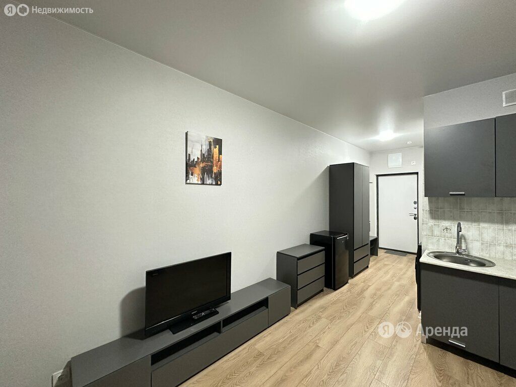m. Olgino: Apartment, studio