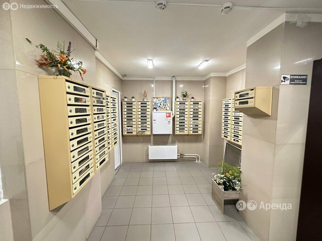 m. Domodedovskaya: Apartment, 2-rooms