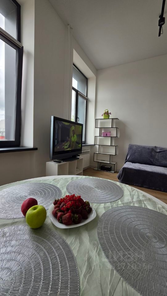 m. Krasny Baltiets: Apartment, studio