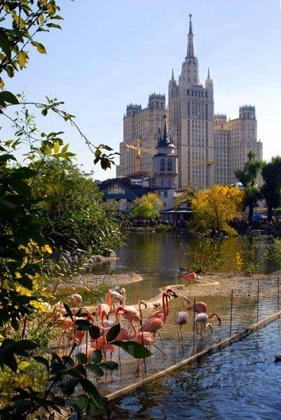m. Barrikadnaya: Apartment, 1-rooms