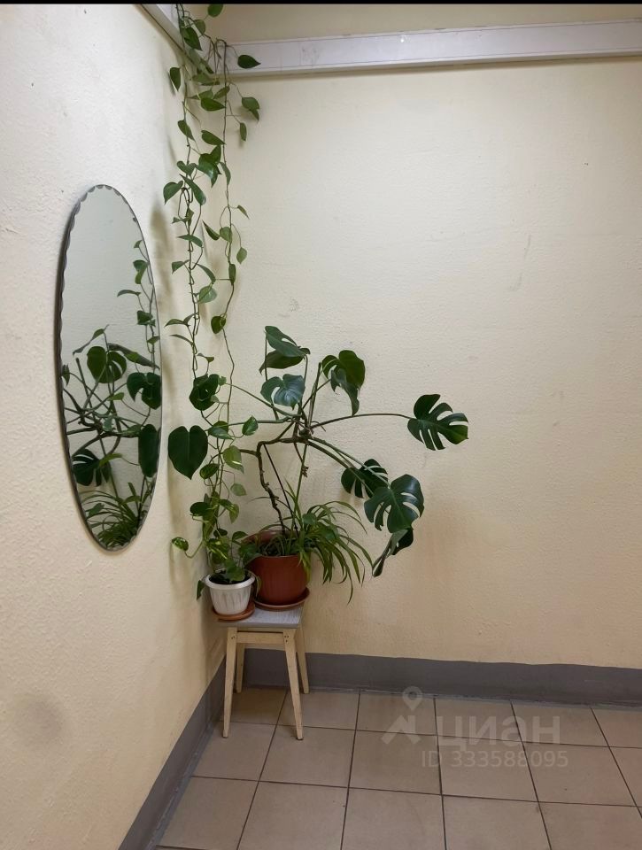 m. Nikolskoe: Apartment, 1-rooms