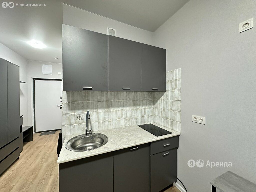 m. Olgino: Apartment, studio