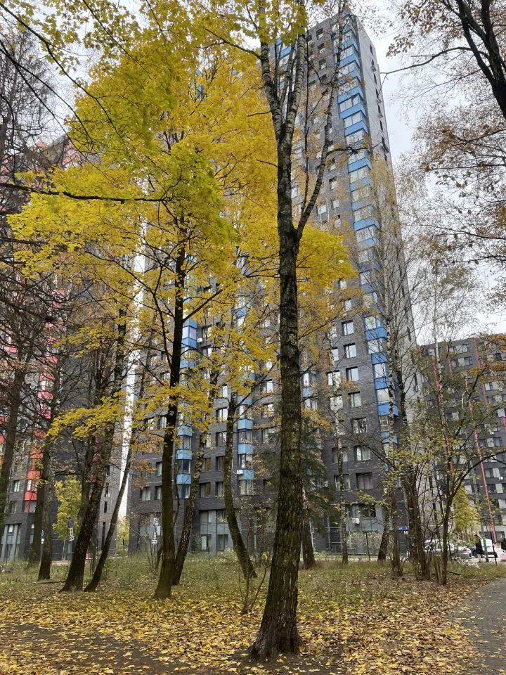 m. Firsanovskaya: Apartment, 2-rooms