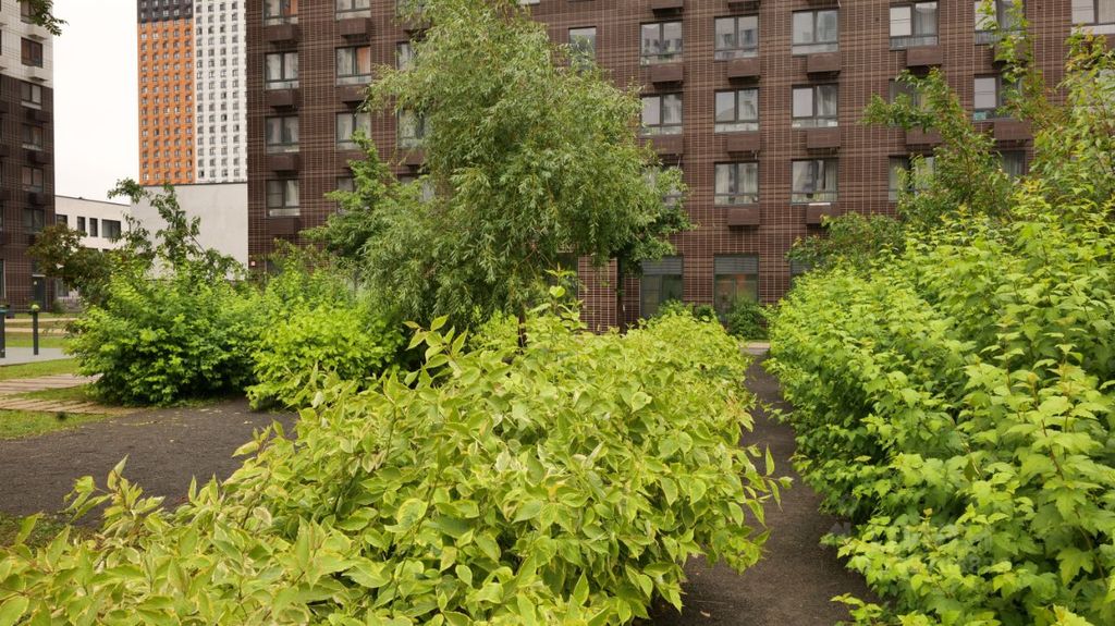 m. Medvedkovo: Apartment, 2-rooms