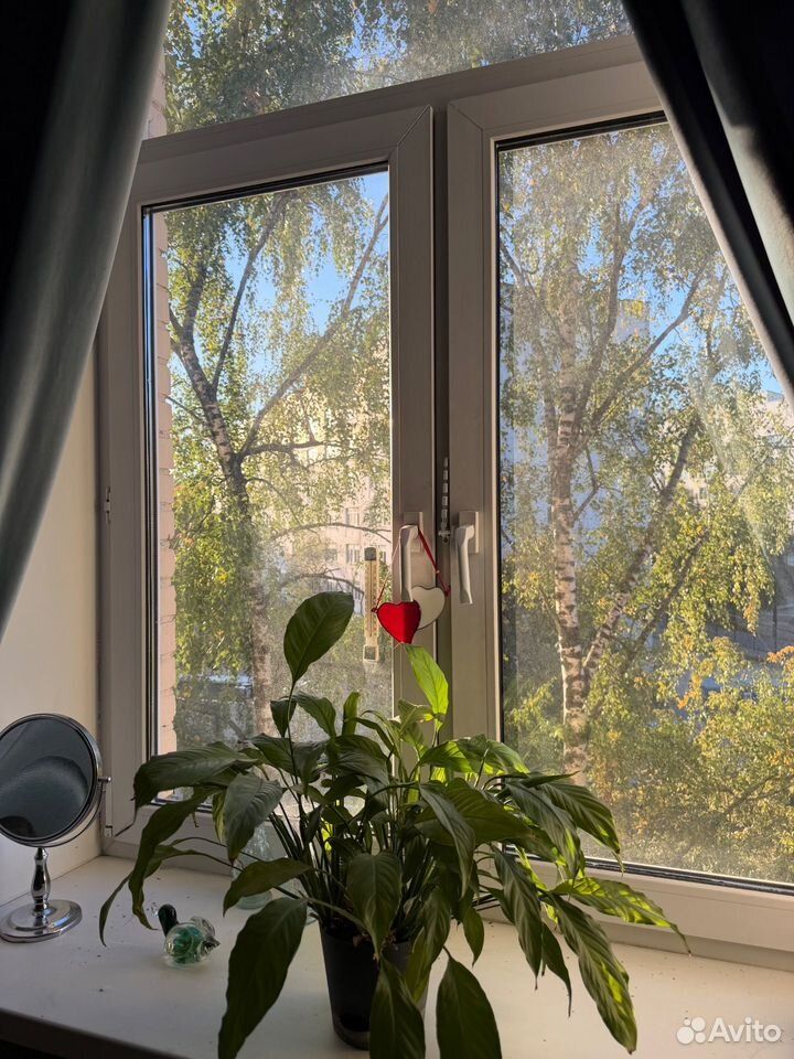 m. Panfilovskaya: Apartment, 1-rooms