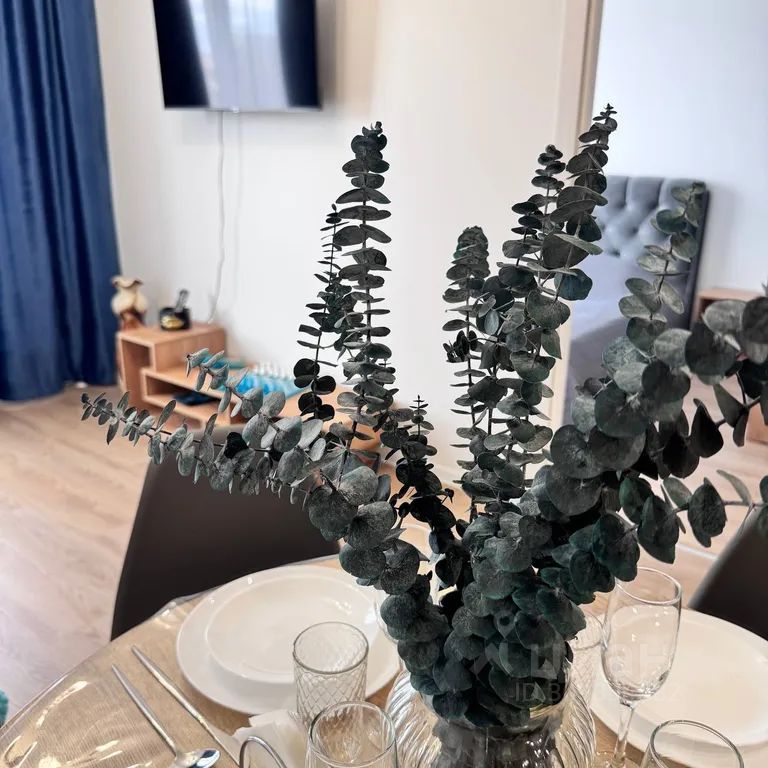 m. Vnukovo: Apartment, 1-rooms