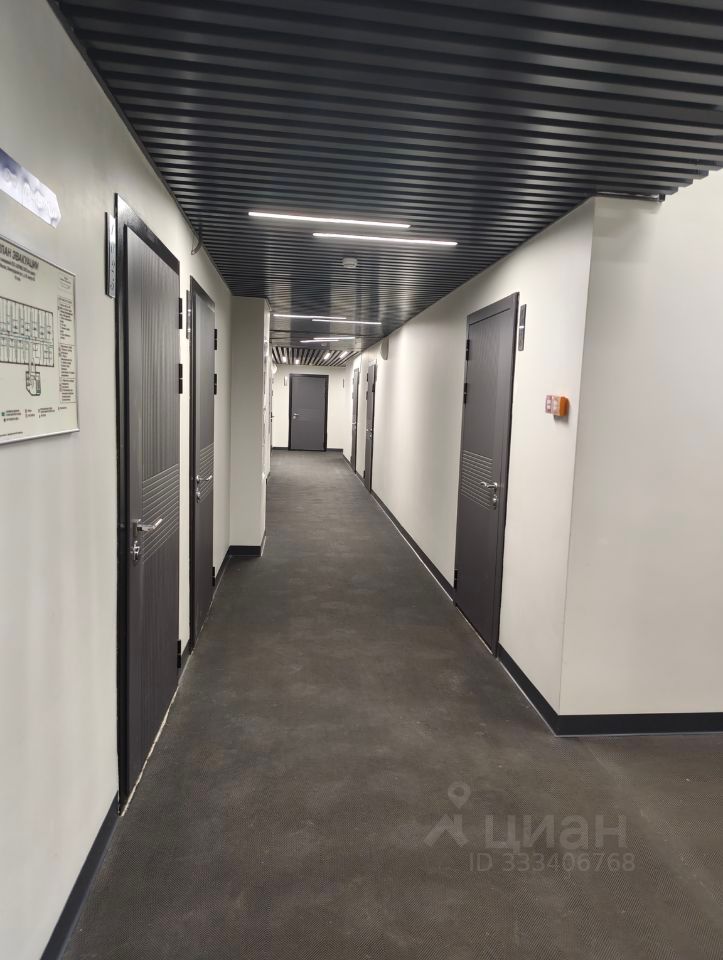 m. Sokol: Apartment, studio