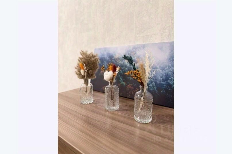 m. Penyagino: Apartment, 2-rooms