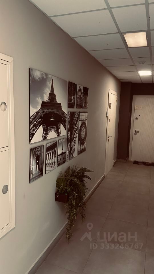 m. Michurinets: Apartment, 1-rooms