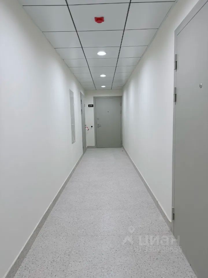 m. Bitsa: Apartment, 1-rooms