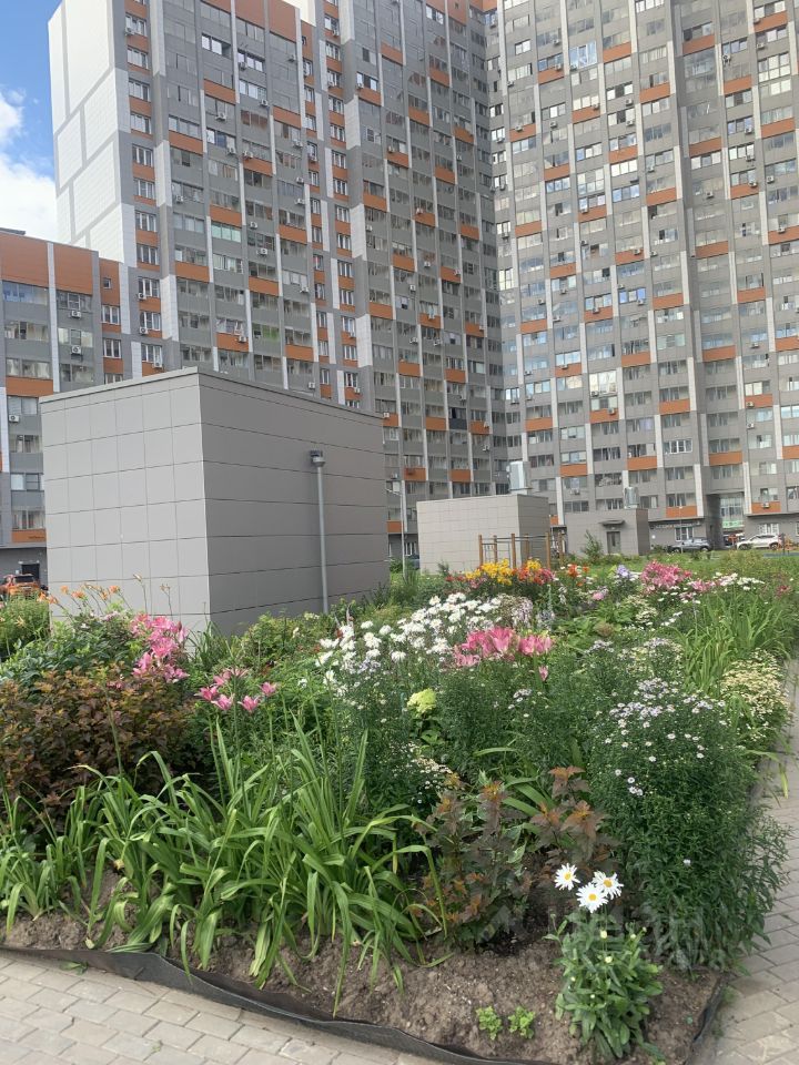 m. Nikolskoe: Apartment, studio