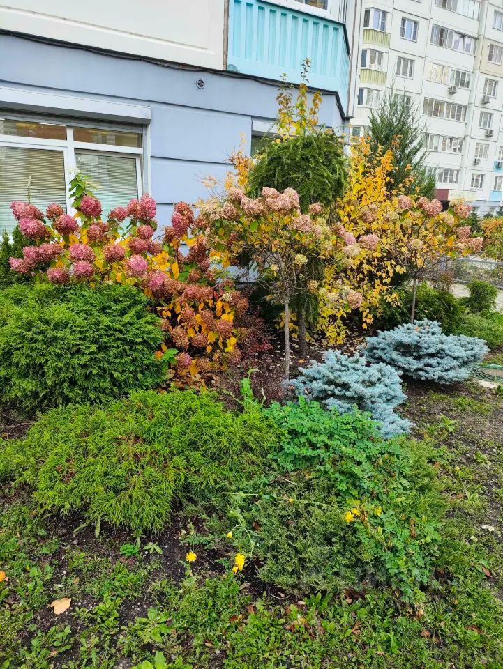 m. Molzhaninovo: Apartment, 4-rooms