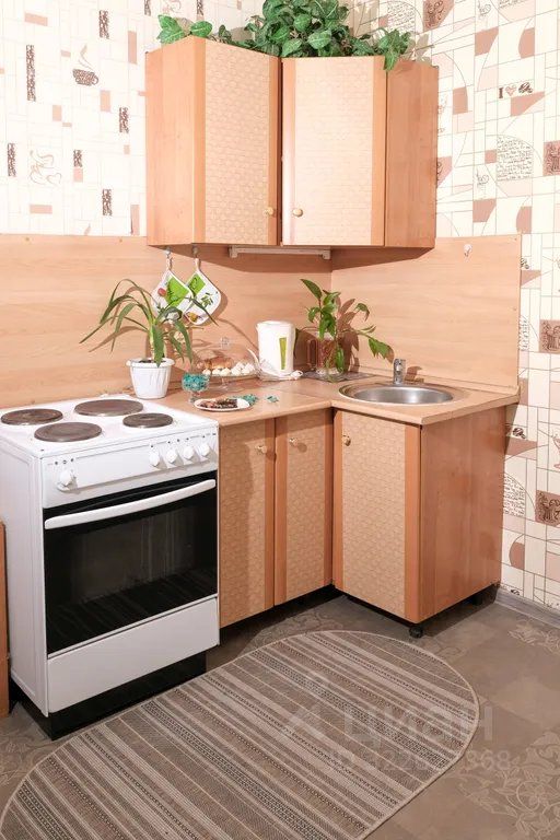 m. Nikolskoe: Apartment, 1-rooms
