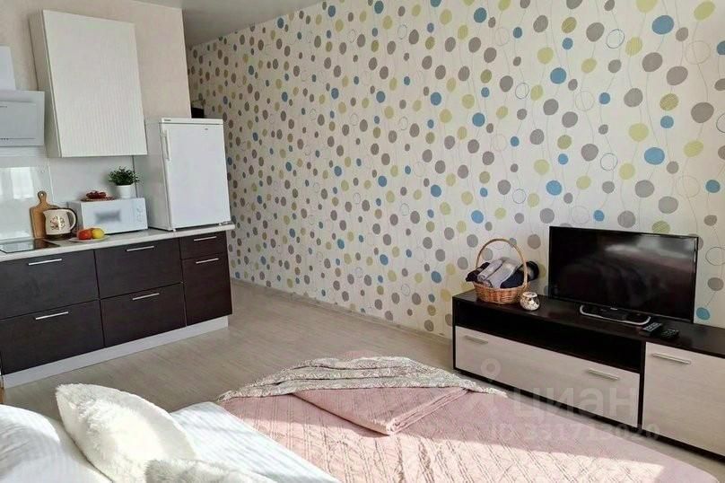 m. Michurinets: Apartment, 1-rooms