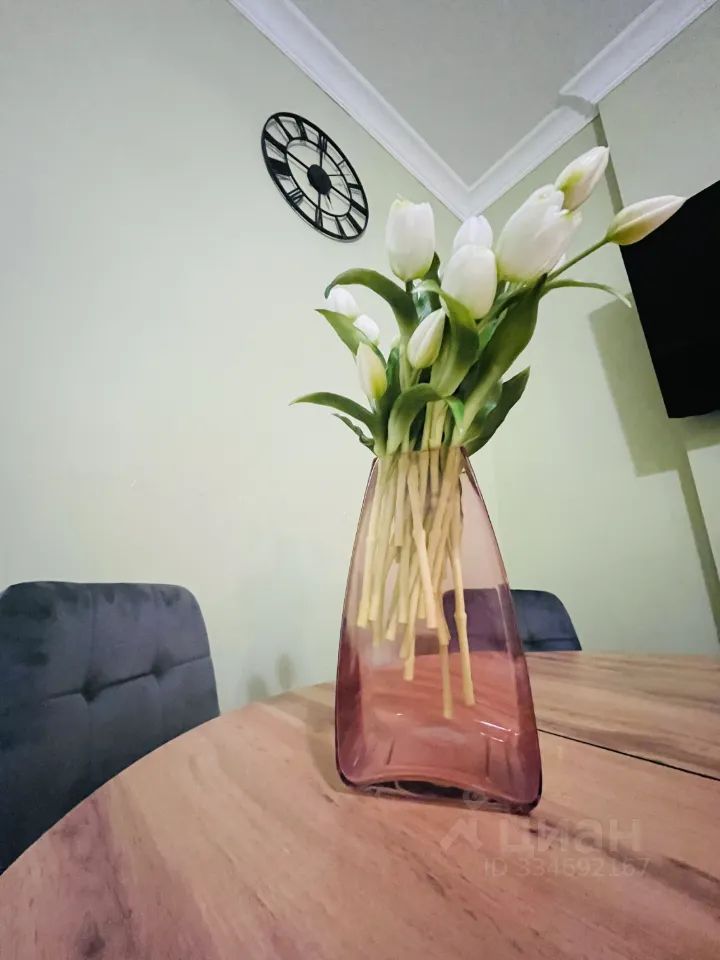 m. Nemchinovka: Apartment, studio
