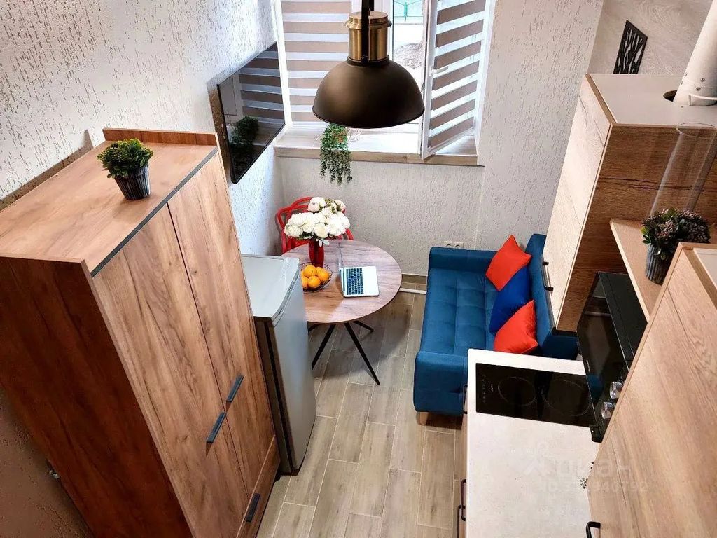 m. Krasny Baltiets: Apartment, studio