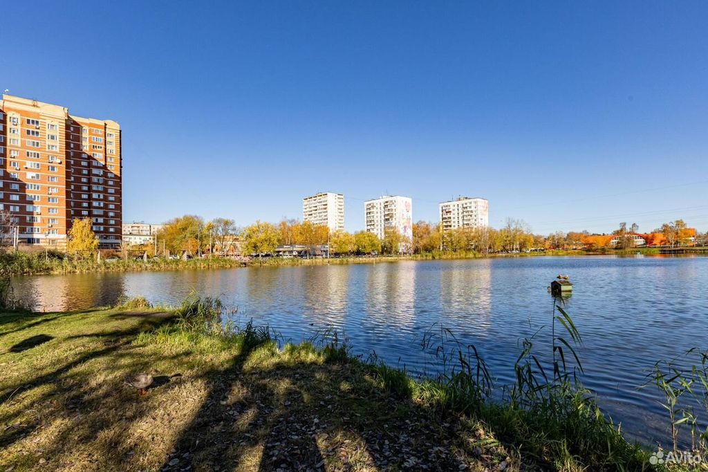 m. Sheremetyevskaya: Apartment, 1-rooms