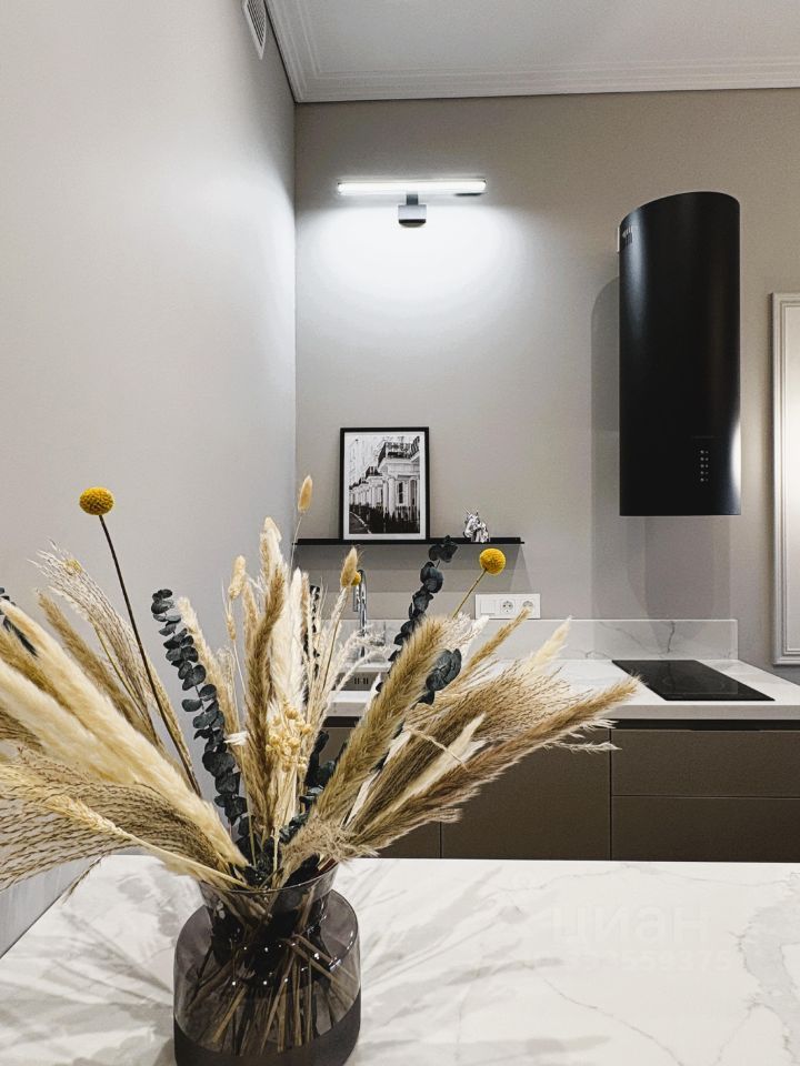 m. Dinamo: Apartment, 2-rooms