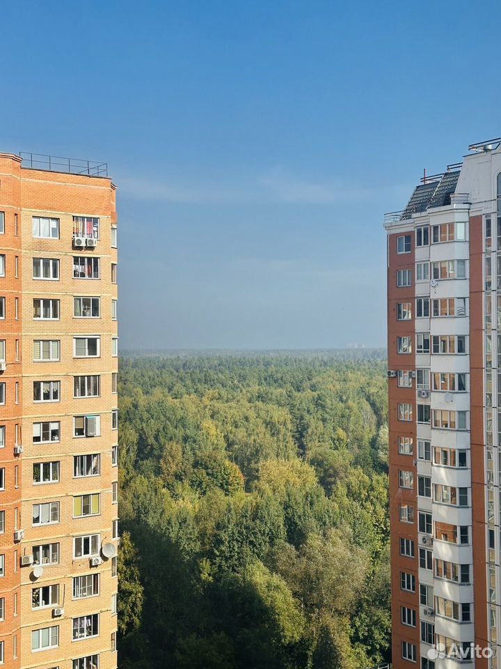 m. Zheleznodorozhnaya: Apartment, 2-rooms