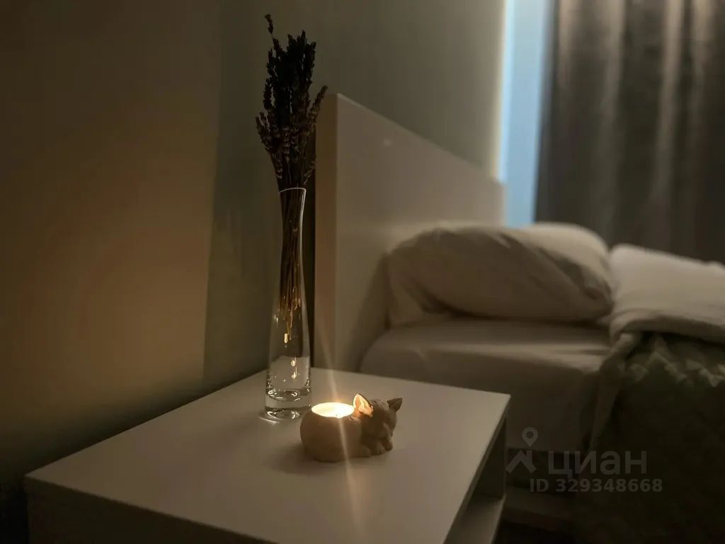 m. Nemchinovka: Apartment, 1-rooms
