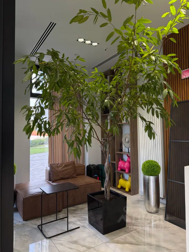 m. Trikotazhnaya: Apartment, 2-rooms