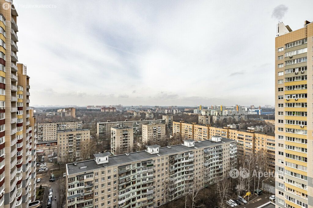 m. Olgino: Apartment, studio