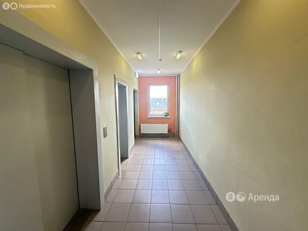 m. Domodedovskaya: Apartment, 2-rooms