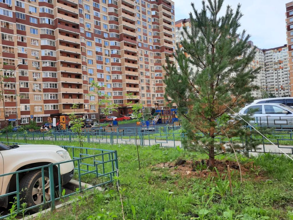 m. Domodedovskaya: Apartment, 2-rooms