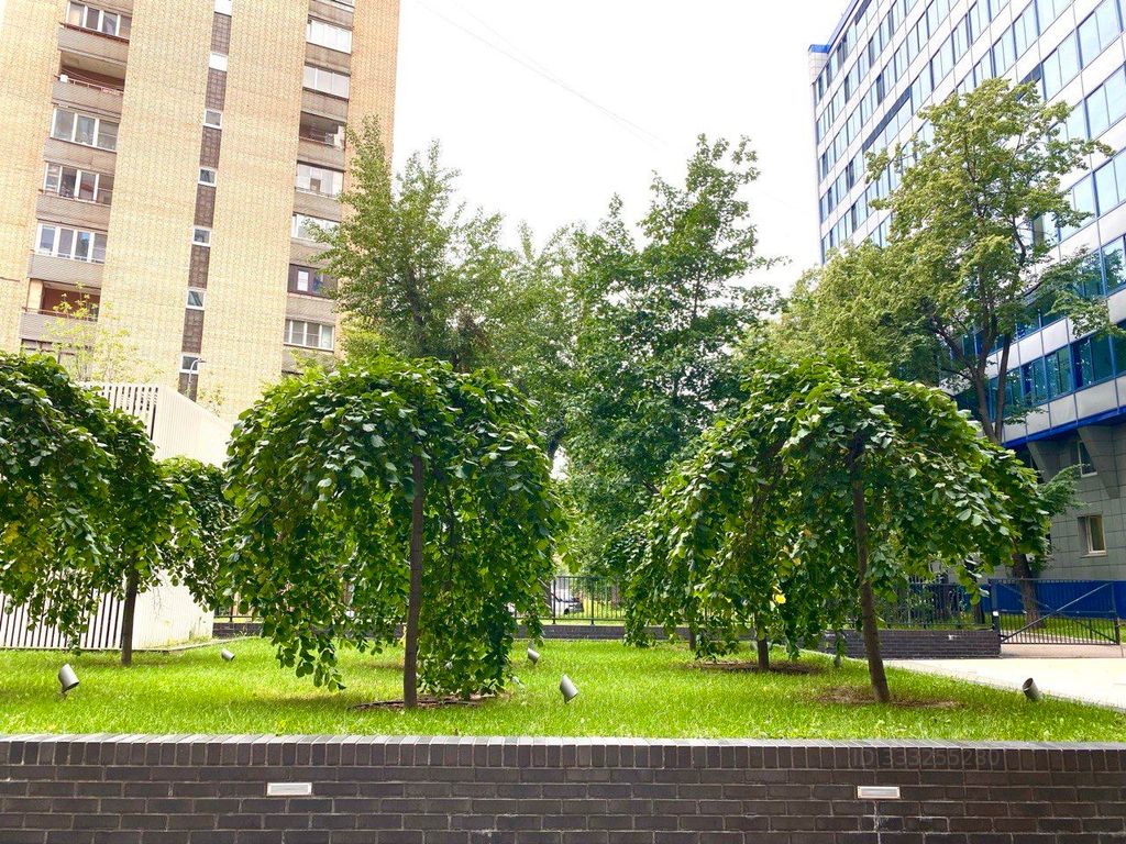 m. Ploschad trekh vokzalov: Apartment, 1-rooms
