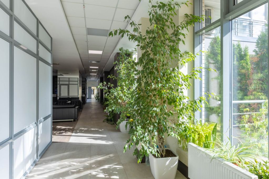 m. Universitet druzhby narodov: Apartment, 2-rooms