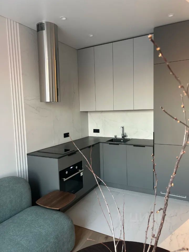 m. Davydkovo: Apartment, 2-rooms