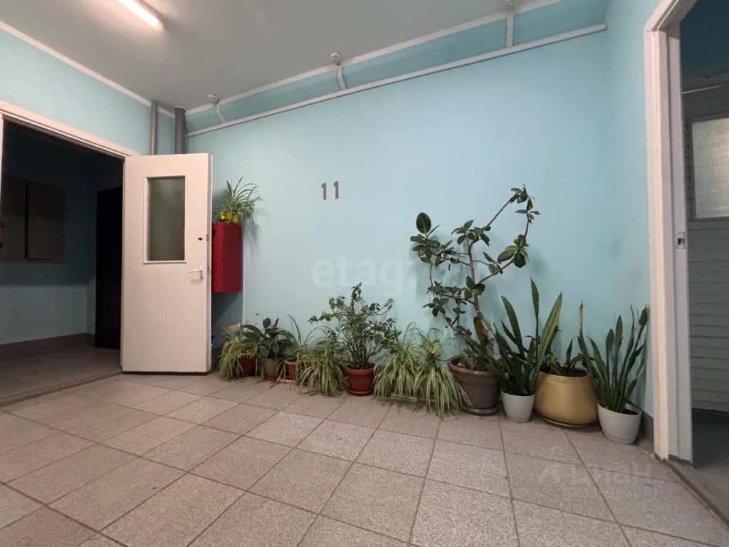 m. Ippodrom: Apartment, 1-rooms